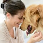 Fix Your Dog's Anxiety and Arthritis Problems by Using CBD Oil
