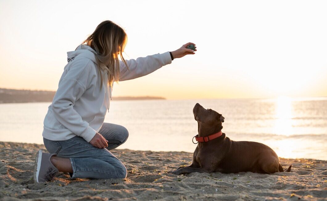 The latest news about the high-quality CBD oil products online