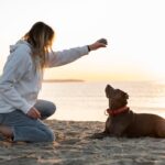 The latest news about the high-quality CBD oil products online