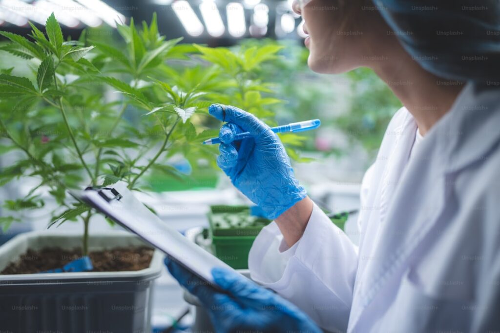 THCA Flower Lab Report