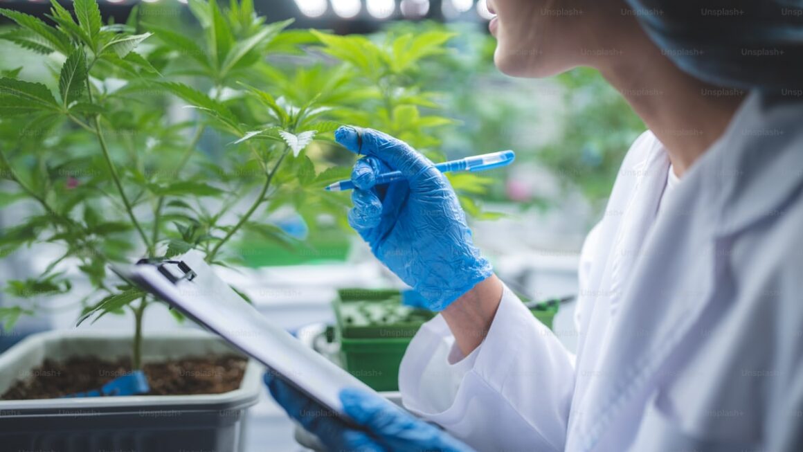 THCA Flower Lab Report