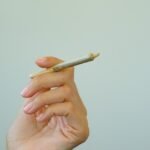 THC Pre rolls